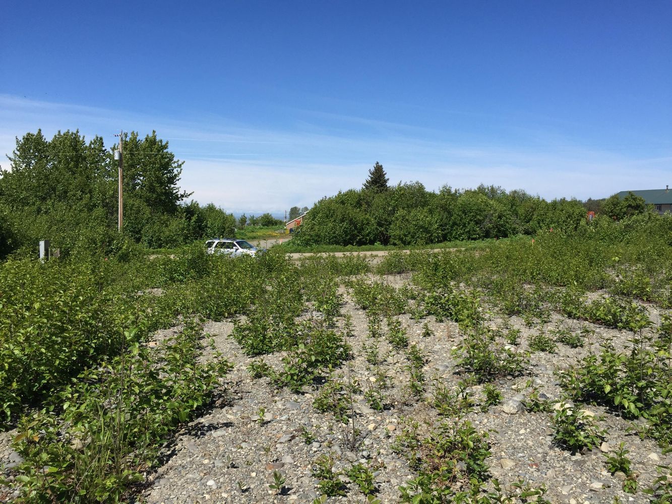 66417 Alder Ave, Ninilchik, AK 99639